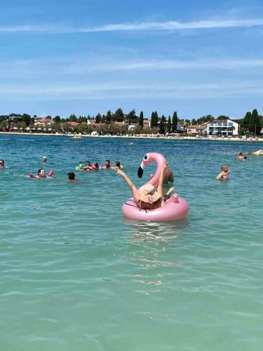 Appartamento Incantevole 300M Dal Mare Lignano Sabbiadoro Exteriér fotografie